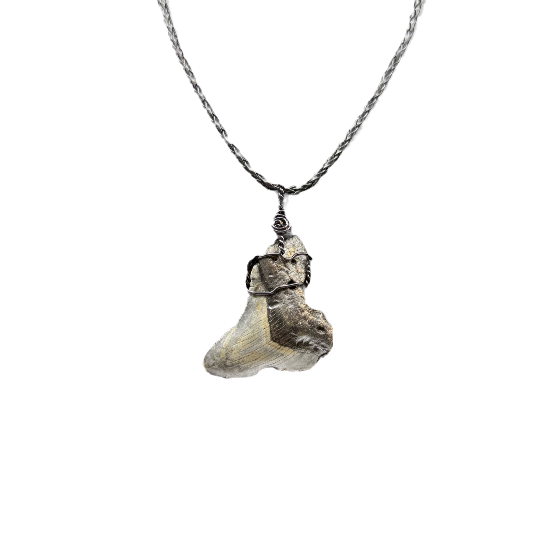 Megalodon tooth pendant